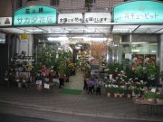 「サカタ花店」　（大阪府守口市）の花屋店舗写真1